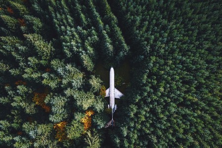EY - Airplane in crop of trees
